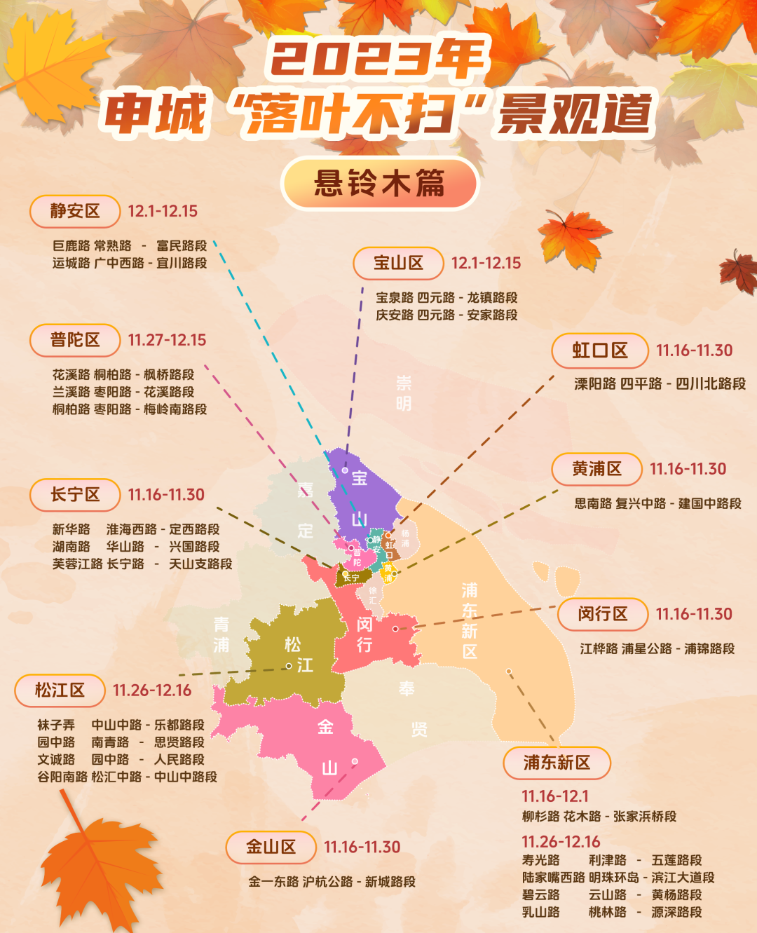 2023年落叶不扫开启上海41条景观道抚玩指南来啦完美体育官网(图4)