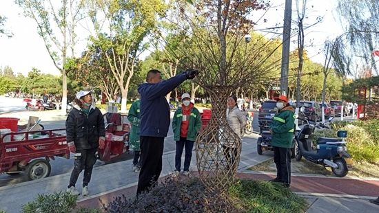 完美体育官网罗山县园林绿化核心：紧密拘束促晋升 冬季园林养护正当时(图2)