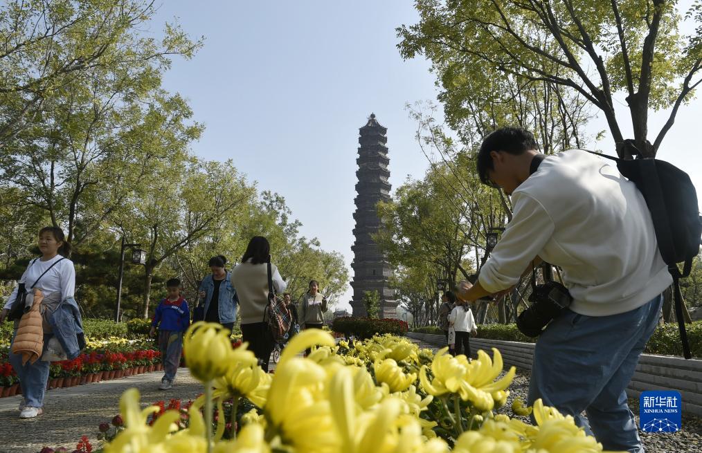 秋日景物好 菊香溢开完美体育官网封(图7)