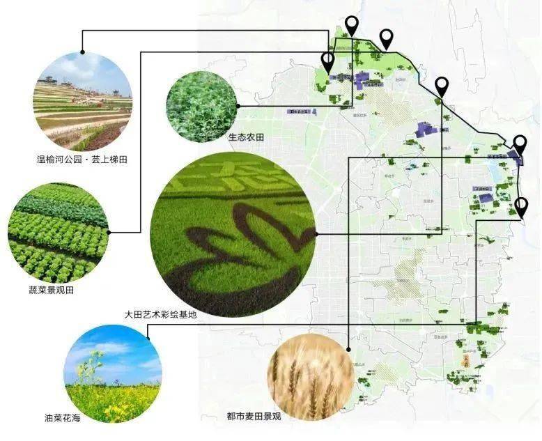 完美体育官网朝阳将推出都邑田园景观逛线看亮点→(图2)