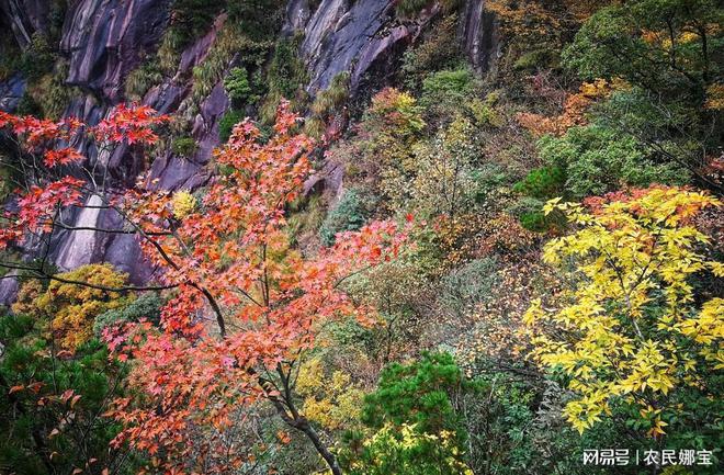 完美体育官网安徽春节旅逛十大好玩景点(图6)