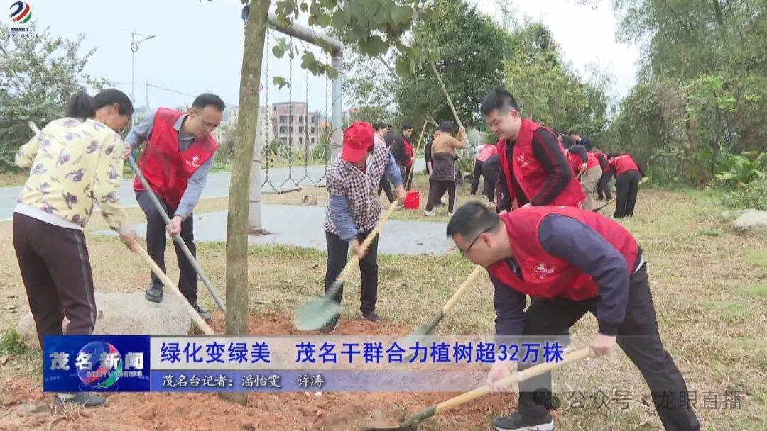 绿化变绿美！茂名干群协完美体育官网力植树超32万株(图1)