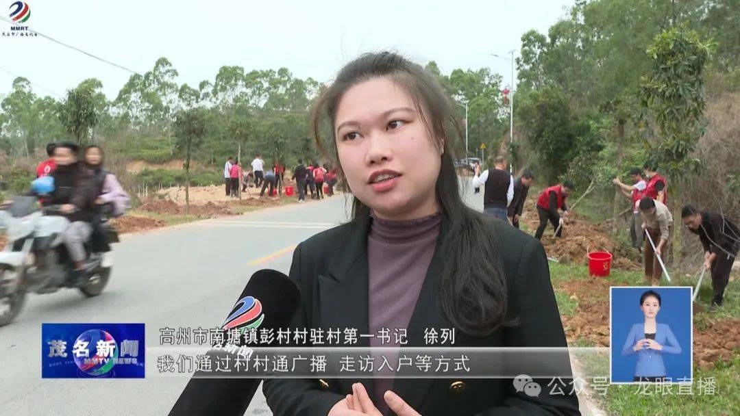 绿化变绿美！茂名干群协完美体育官网力植树超32万株(图4)