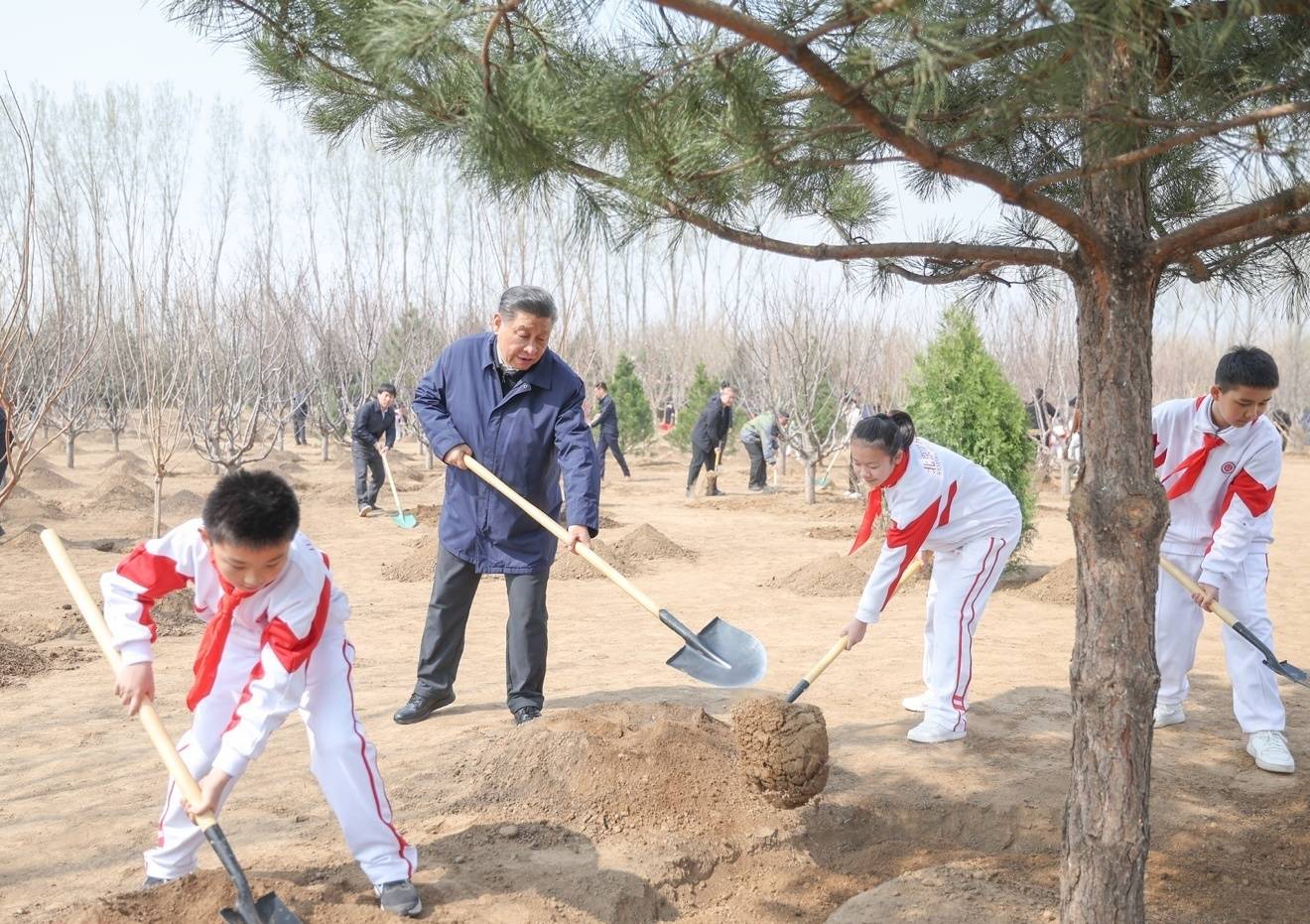 完美体育官网方才来过这里｜增绿即是增上风植树即是植异日(图1)