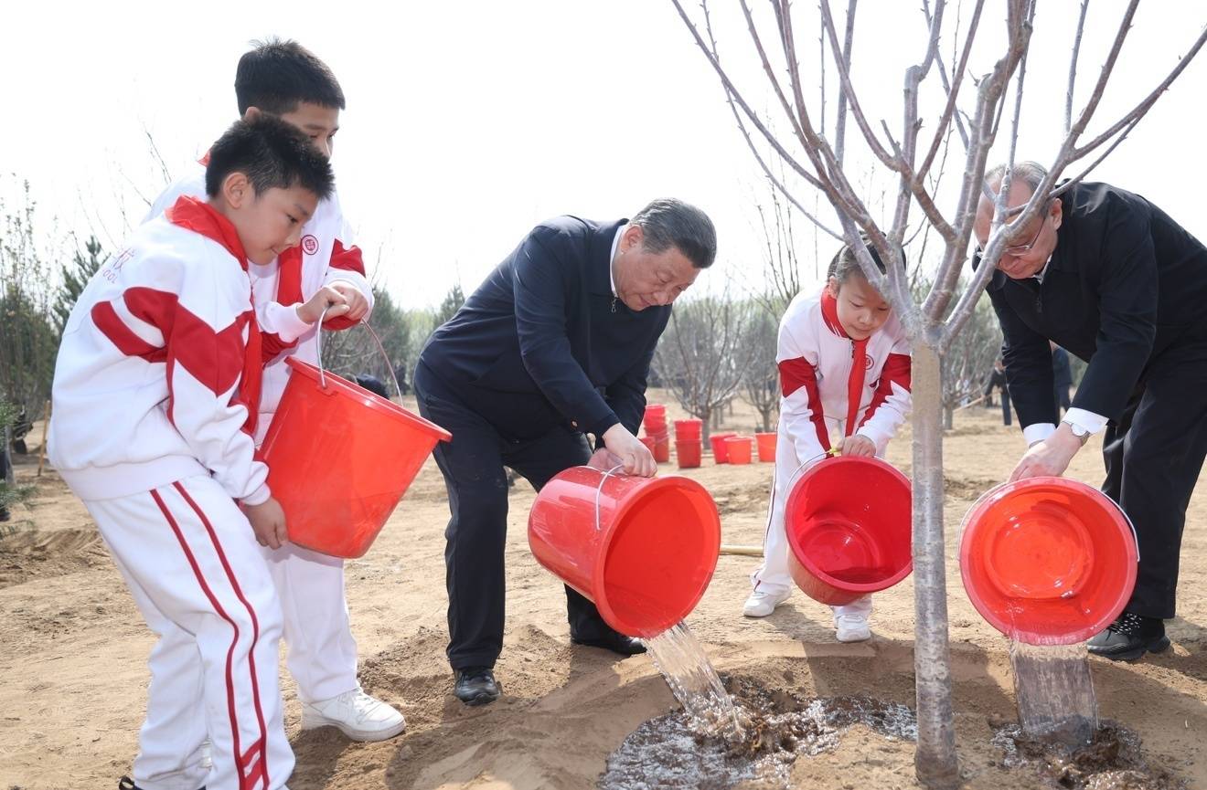 完美体育官网方才来过这里｜增绿即是增上风植树即是植异日(图2)