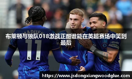 布莱顿与狼队018激战正酣谁能在英超赛场中笑到最后